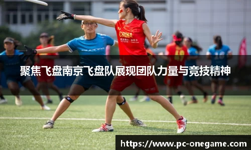 聚焦飞盘南京飞盘队展现团队力量与竞技精神